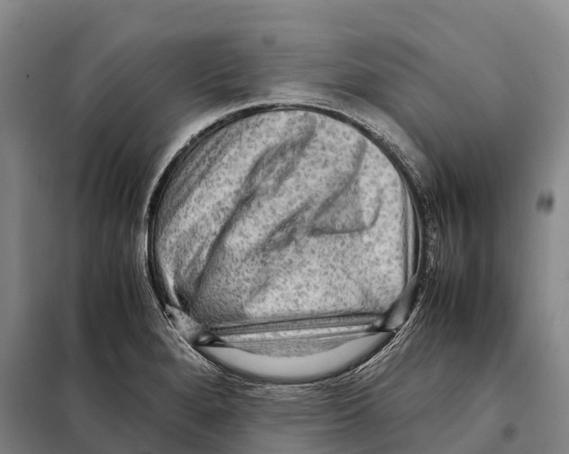 X0000098021280200804251129