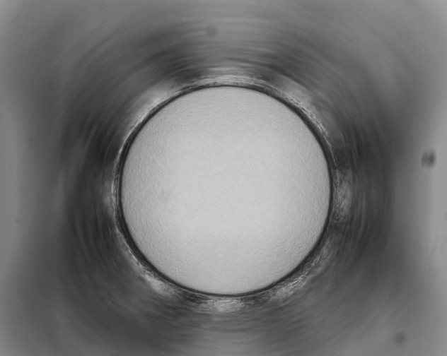 X0000098021282200804251129