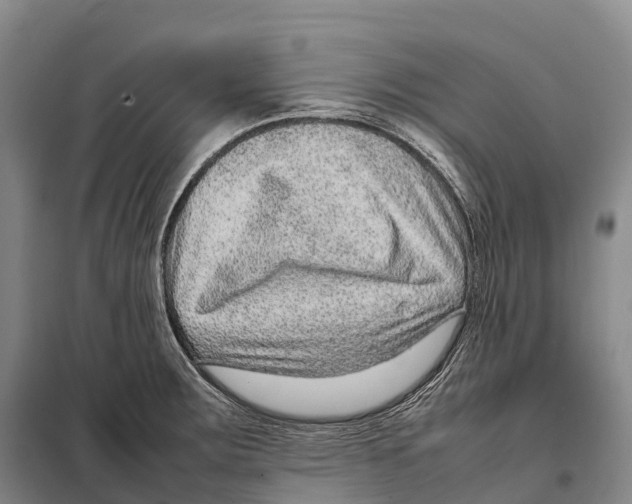 X0000098021283200804251129