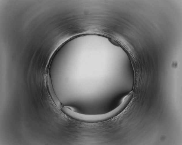 X0000098021284200804251129