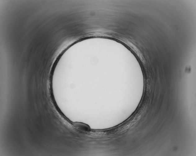 X0000098021285200804251129