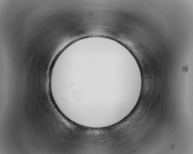 X0000098021286200804251129