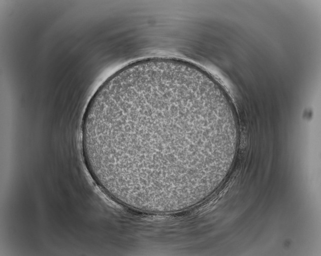 X0000098021287200804251129