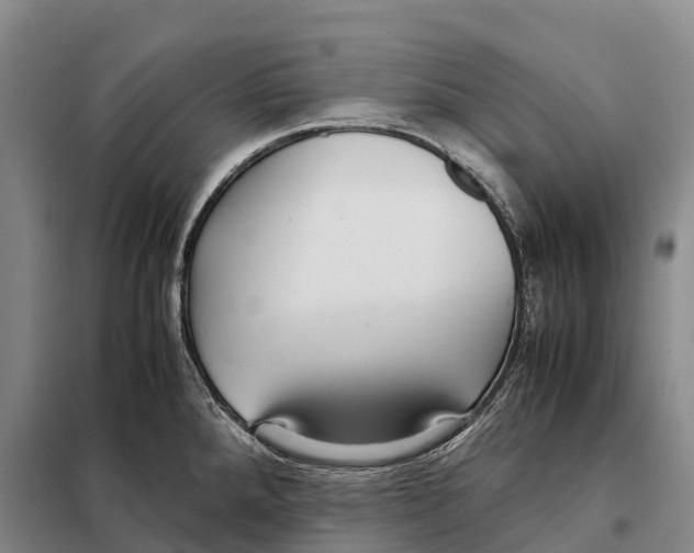 X0000098021288200804251129