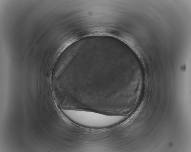 X0000098021289200804251129