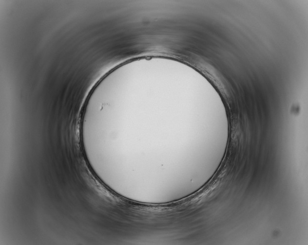 X0000098021292200804251129