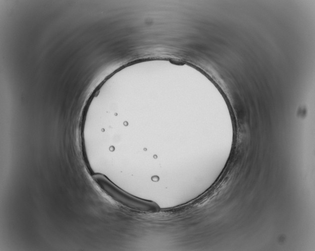 X0000098021293200804251129