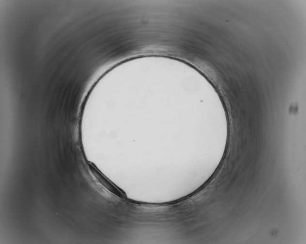 X0000098021296200804251128