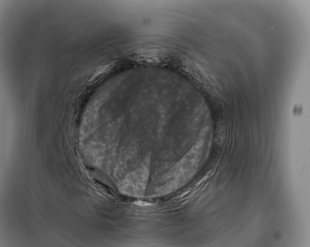 X0000098021297200804251128