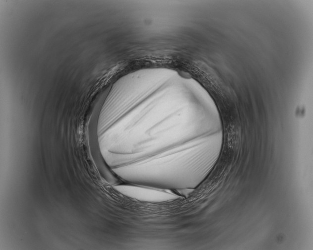 X0000098021298200804251128
