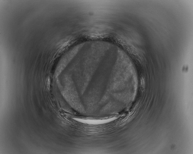 X0000098021300200804251128