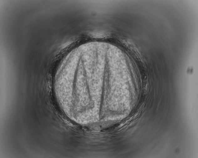 X0000098021301200804251128