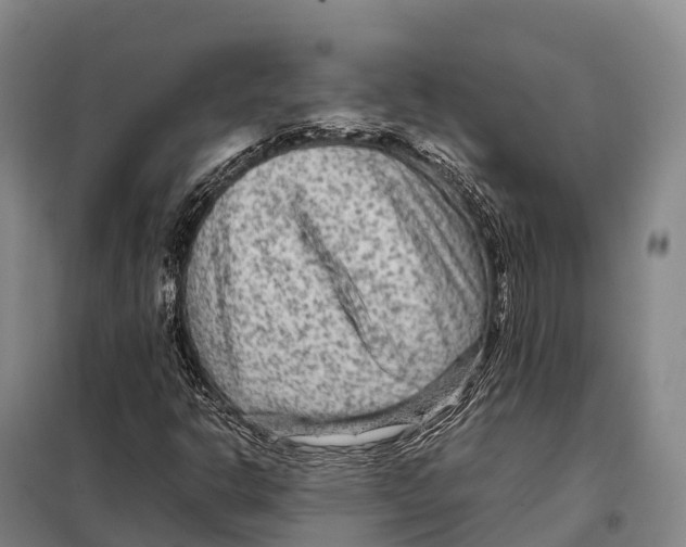 X0000098021302200804251128