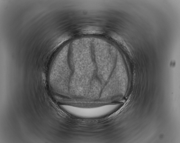 X0000098021305200804251128
