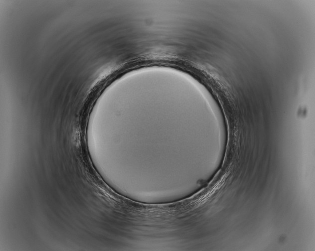 X0000098021306200804251128