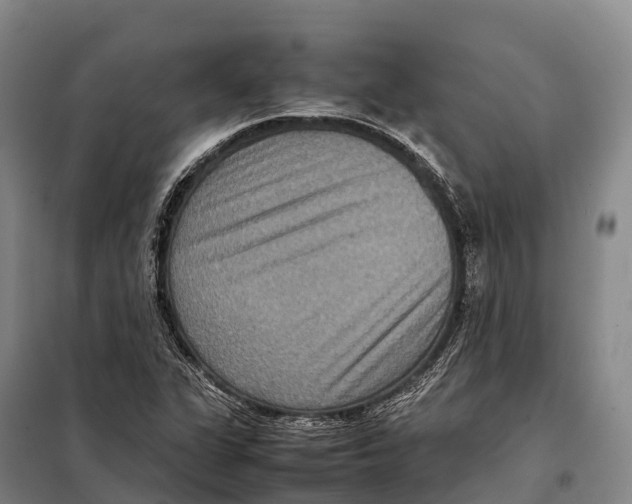 X0000098021311200804251128
