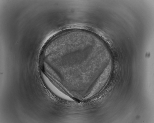 X0000098021312200804251128