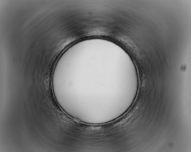 X0000098021313200804251128
