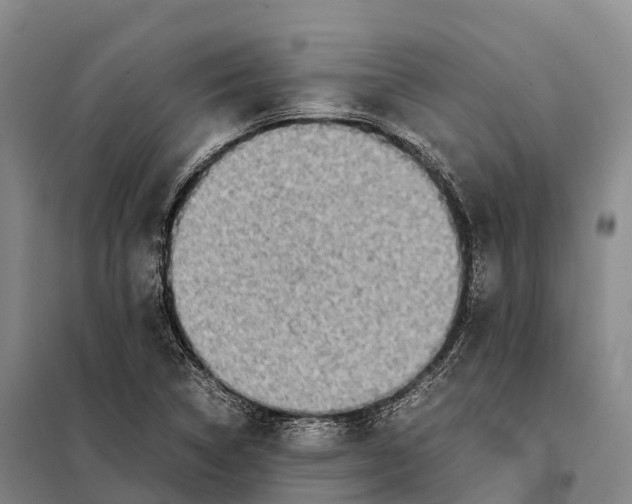 X0000098021314200804251128