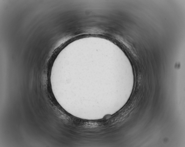 X0000098021315200804251128