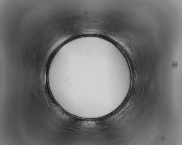 X0000098021317200804251128
