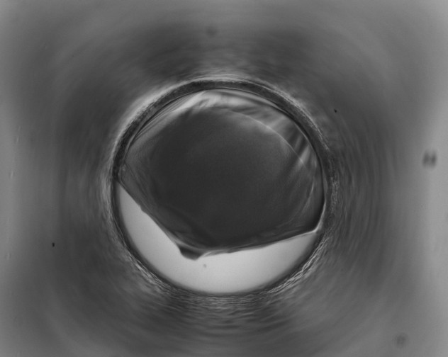 X0000098021319200804251128