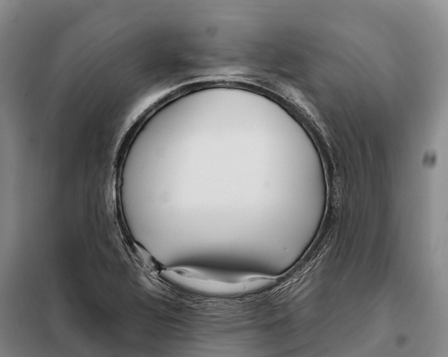 X0000098021320200804251128