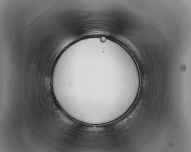 X0000098021321200804251128