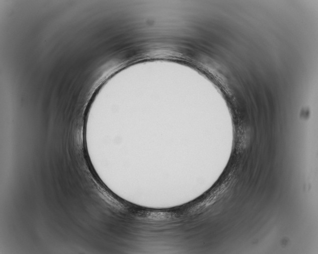 X0000098021322200804251128