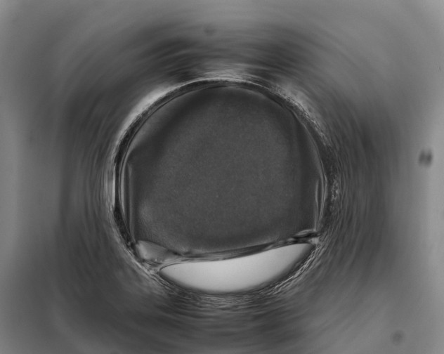 X0000098021323200804251128