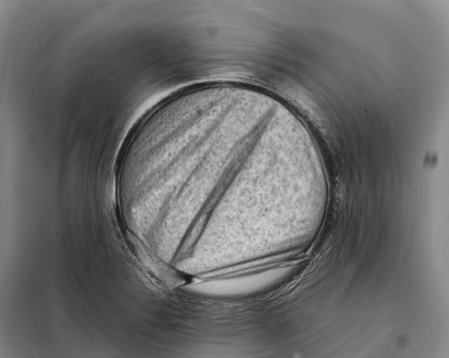 X0000098021324200804251128