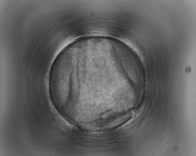 X0000098021325200804251128
