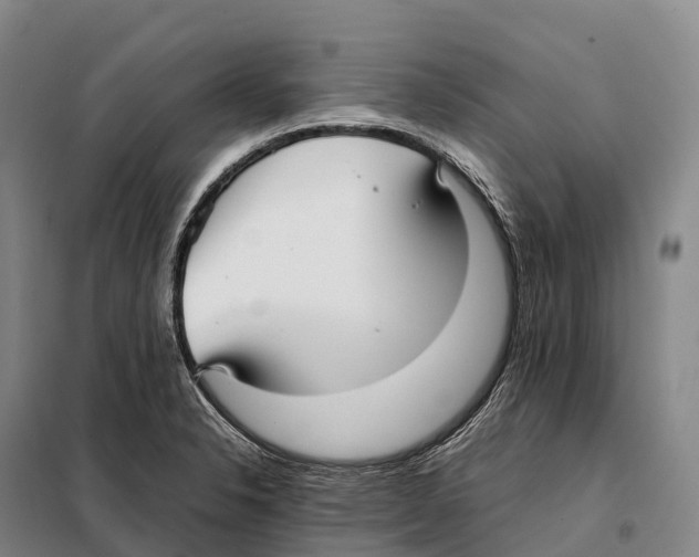 X0000098021326200804251128