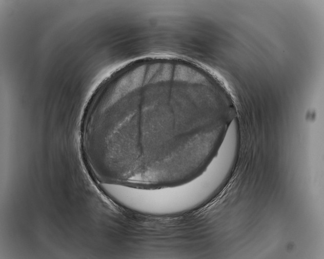 X0000098021327200804251128
