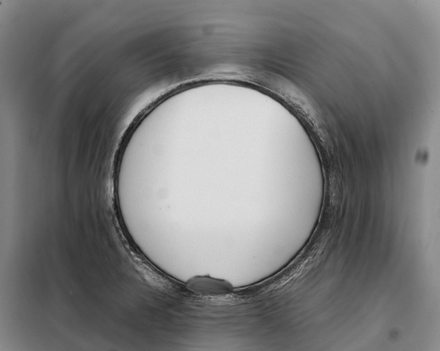 X0000098021328200804251128