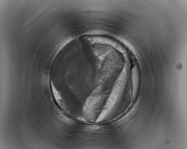 X0000098021329200804251128