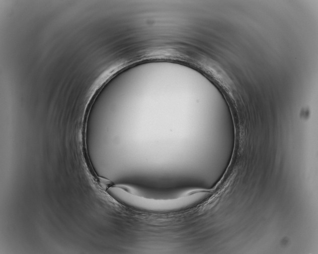 X0000098021330200804251128