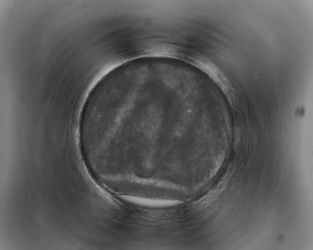 X0000098021331200804251128