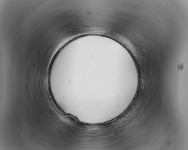 X0000098021332200804251128