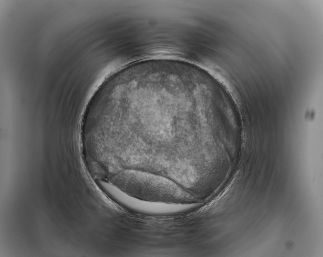 X0000098021333200804251128