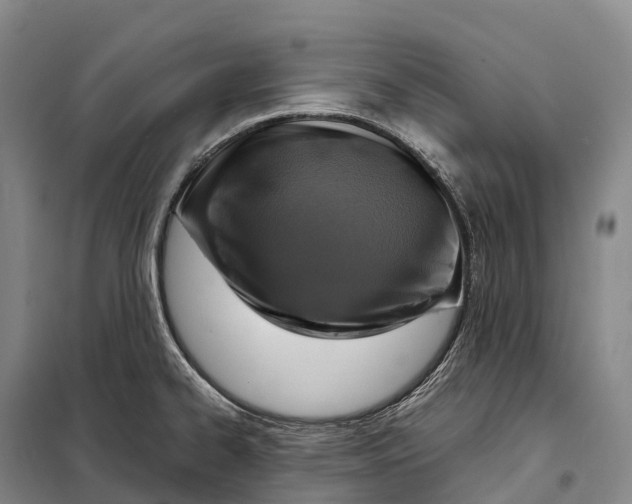 X0000098021334200804251128