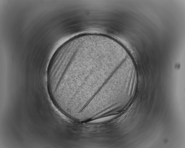 X0000098021335200804251128