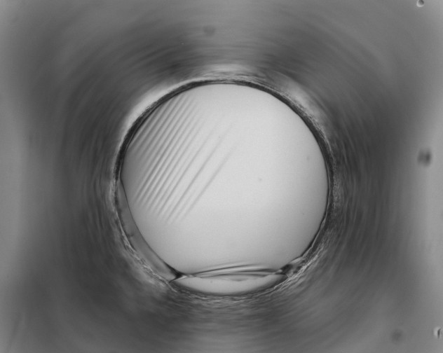 X0000098021336200804251128