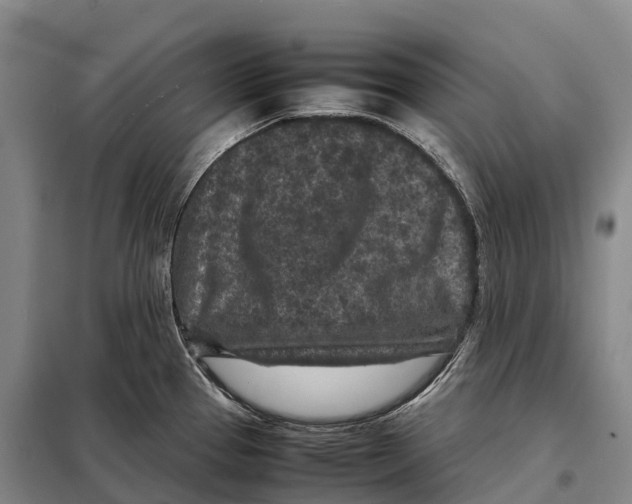 X0000098021337200804251128