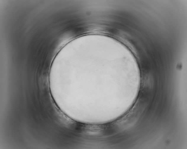 X0000098021338200804251128
