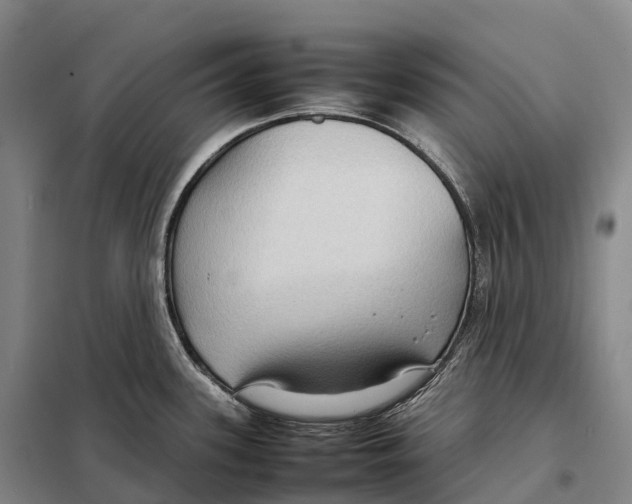 X0000098021339200804251128