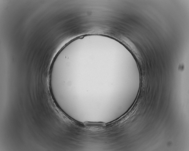 X0000098021340200804251128