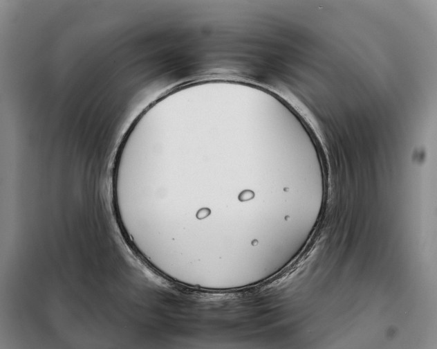 X0000098021341200804251128