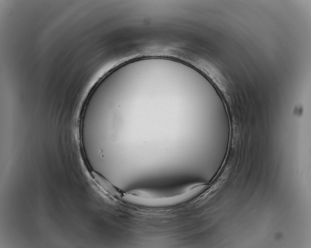 X0000098021342200804251128