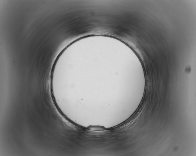 X0000098021343200804251128